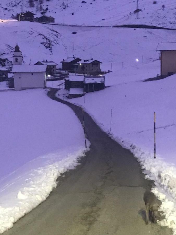 Baita Mattia Livigno Exterior photo